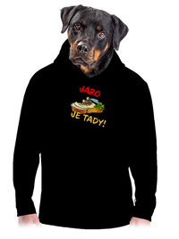 pánská mikina klokanka