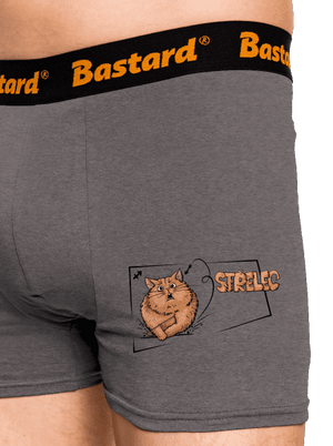 Kočičí horoskop: Střelec boxerky Gray Melange