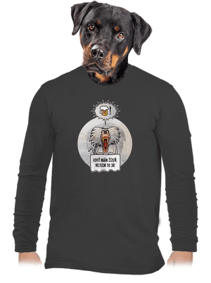 pánské dlouhý rukáv