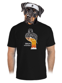 pánské sportovní tričko