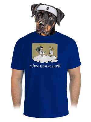 pánské sportovní tričko