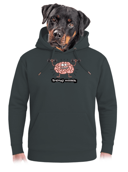 Trénuji mozek unisex mikina premium Charcoal