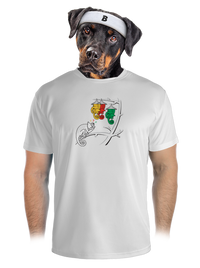 pánské sportovní tričko