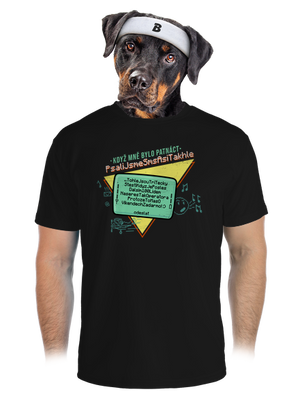 pánské sportovní tričko