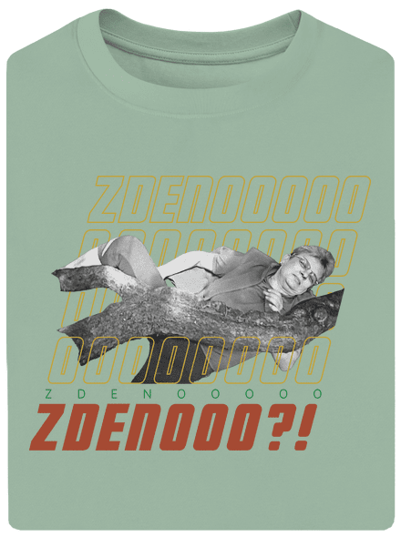 B18: Bába pod kořenem unisex tričko oversized Sage