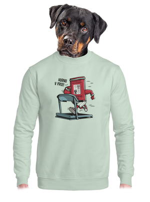 Hubnu v pase unisex mikina bez kapuce Blush Mint