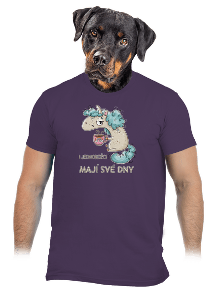 Jednorožci mají své dny pánské tričko Urban Purple