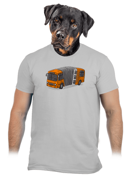 Harmonika pánské tričko Pacific Grey