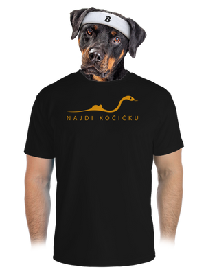 Najdi kočičku pánské sportovní tričko Black