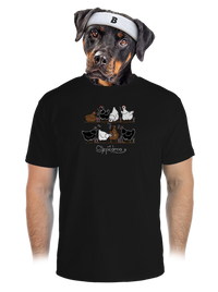 pánské sportovní tričko