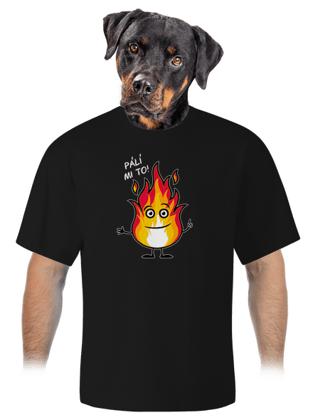 Pálí mi to unisex tričko oversized Black