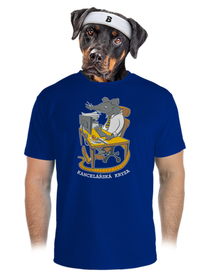 pánské sportovní tričko