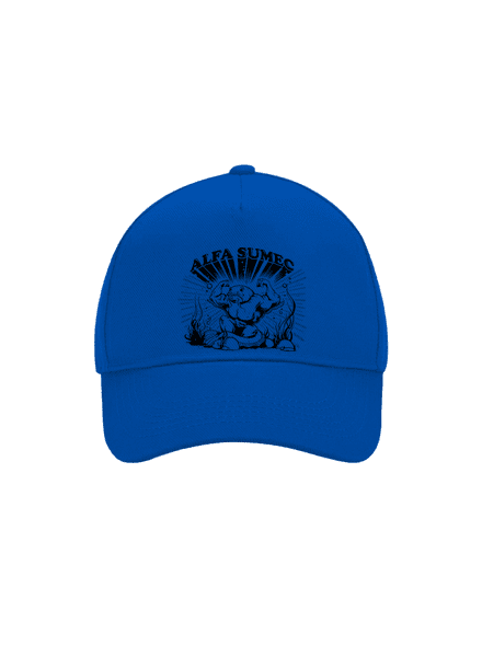 Alfasumec kšiltovka baseballka Bright Royal