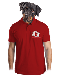 pánská polokošile