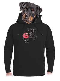 unisex mikina premium