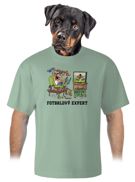 Fotbalový expert unisex tričko oversized Sage