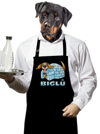 zástěra
