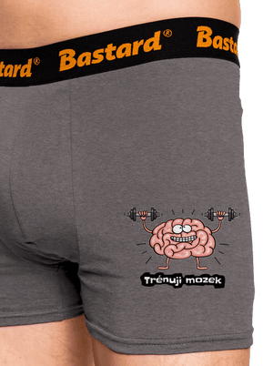 Trénuji mozek boxerky Gray Melange