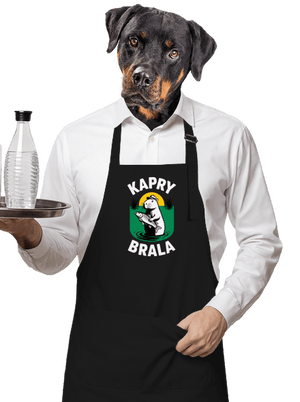 zástěra