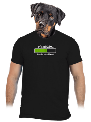 Přemýšlím pánské tričko Black