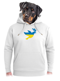 unisex mikina premium