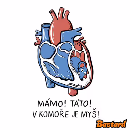 V komoře je myš
