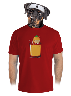 pánské sportovní tričko