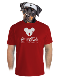 pánské sportovní tričko