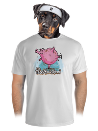 pánské sportovní tričko