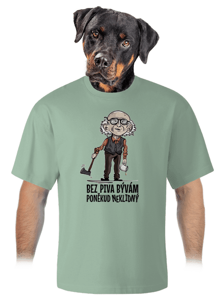 Neklidný bez piva unisex tričko oversized Sage