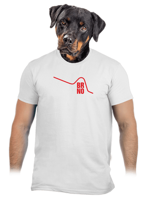 Brno pánské tričko White