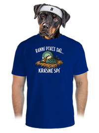 pánské sportovní tričko