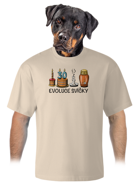 Evoluce svíčky unisex tričko oversized Almond