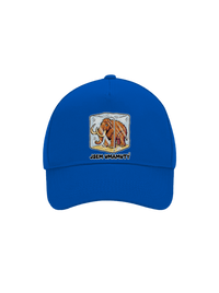 kšiltovka baseballka