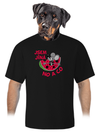 unisex tričko oversized