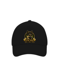 kšiltovka baseballka