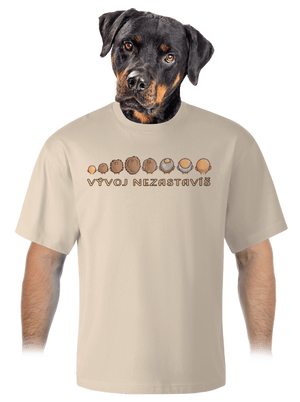 Vývoj nezastavíš unisex tričko oversized Almond