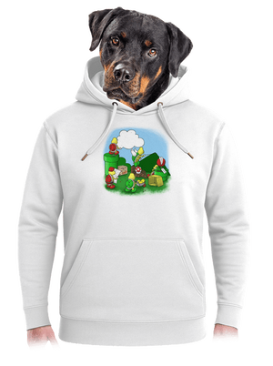 Jak se staví nový level? unisex mikina premium Snowwhite