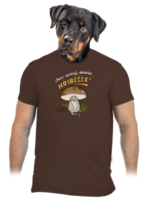 Babka a hříbeček pánské tričko Brown