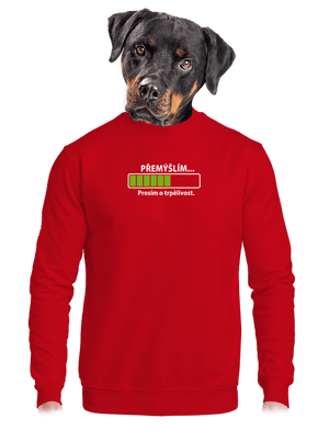 unisex mikina bez kapuce