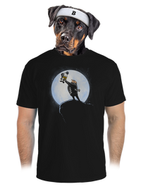 pánské sportovní tričko