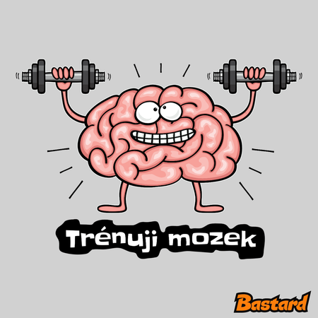 Trénuji mozek