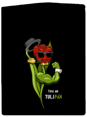 Sněženka a Tulipán pánská mikina na zip Black