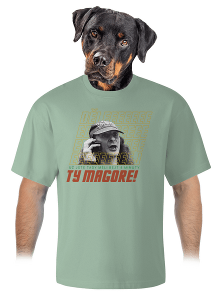 B18: Jiří Kára unisex tričko oversized Sage