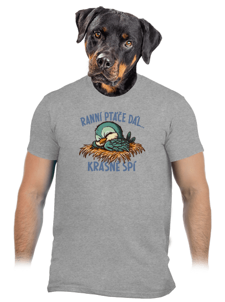 Ranní ptáče spí pánské tričko Sport Grey
