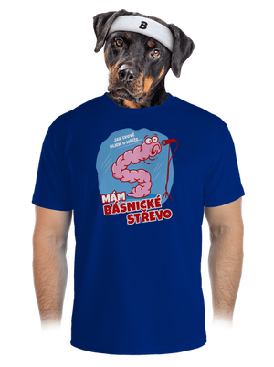 pánské sportovní tričko