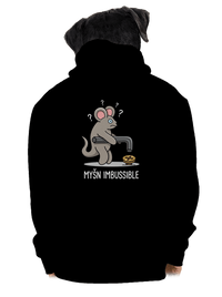 pánská mikina na zip