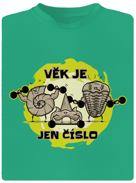 Věk je jen číslo pánské sportovní tričko Mint Mal