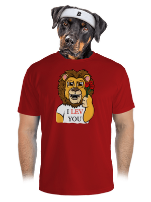 pánské sportovní tričko