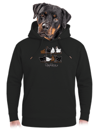 unisex mikina premium